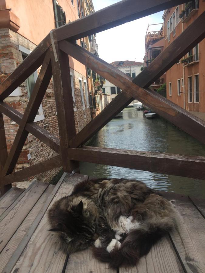 Tintoretto 4, 3 Grandi Camere Da Letto, 2 Bagni Венеція Екстер'єр фото